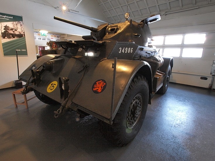 Staghound T17 no34986
