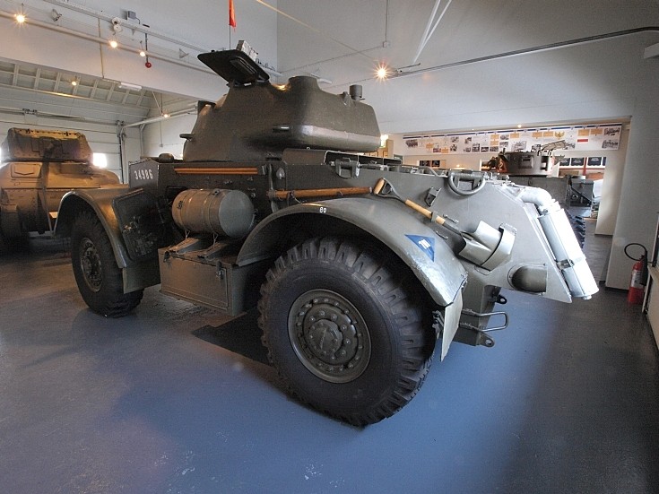 Last of the Staghound