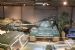 Conqueror tank