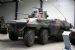 Luchs A2