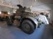 Last of the Staghound