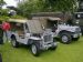 Jeep and Dodge US Navy.